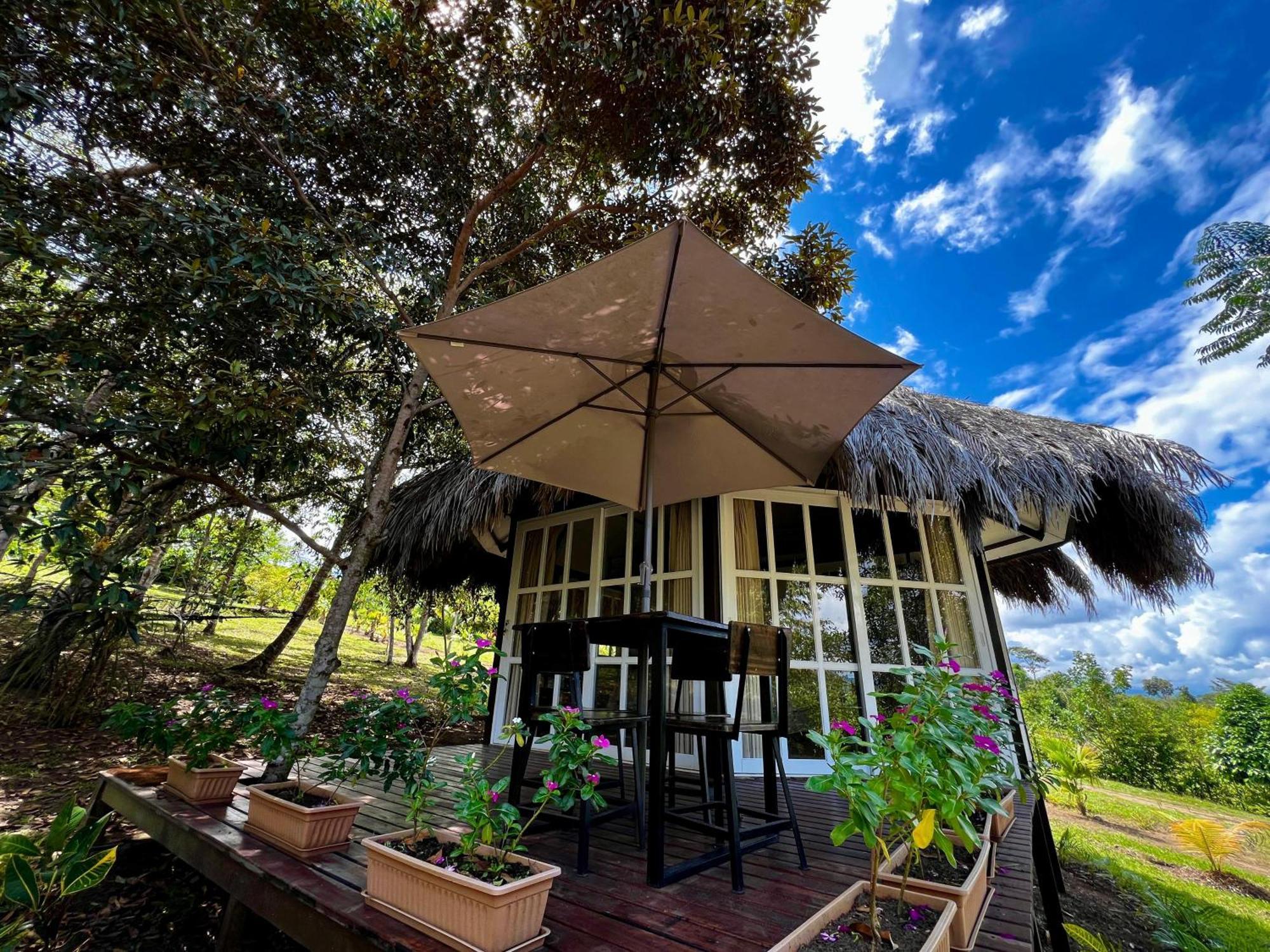 El Resort De Yanashpa - Tarapoto Bilik gambar