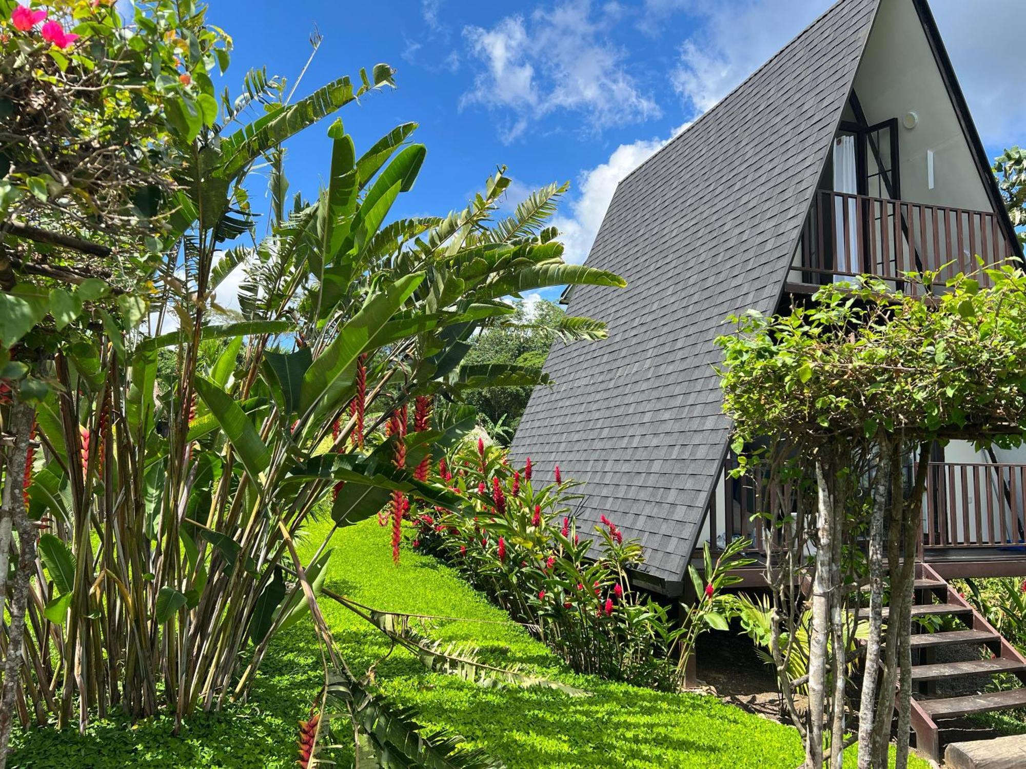 El Resort De Yanashpa - Tarapoto Bilik gambar